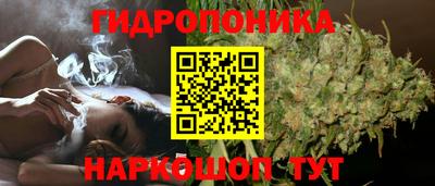 индика Абинск