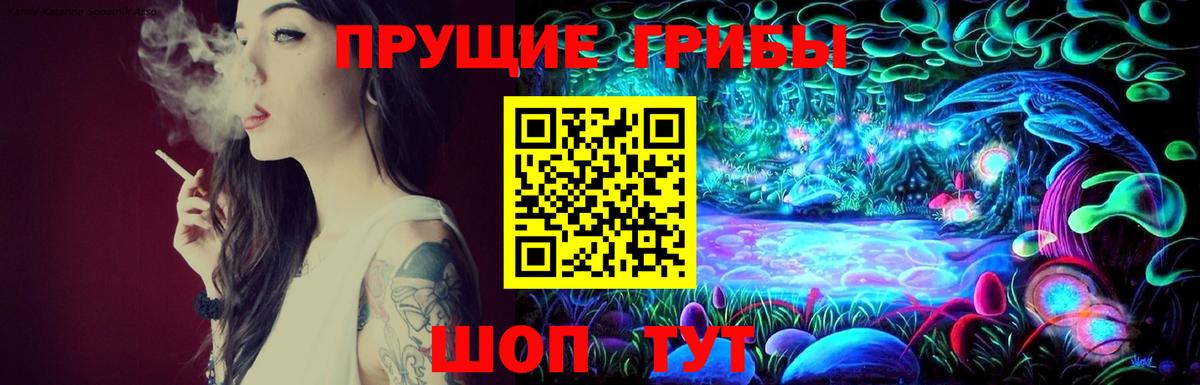Анжеро-Судженск  Псилоцибиновые грибы прущие грибы  Вход с VPN 