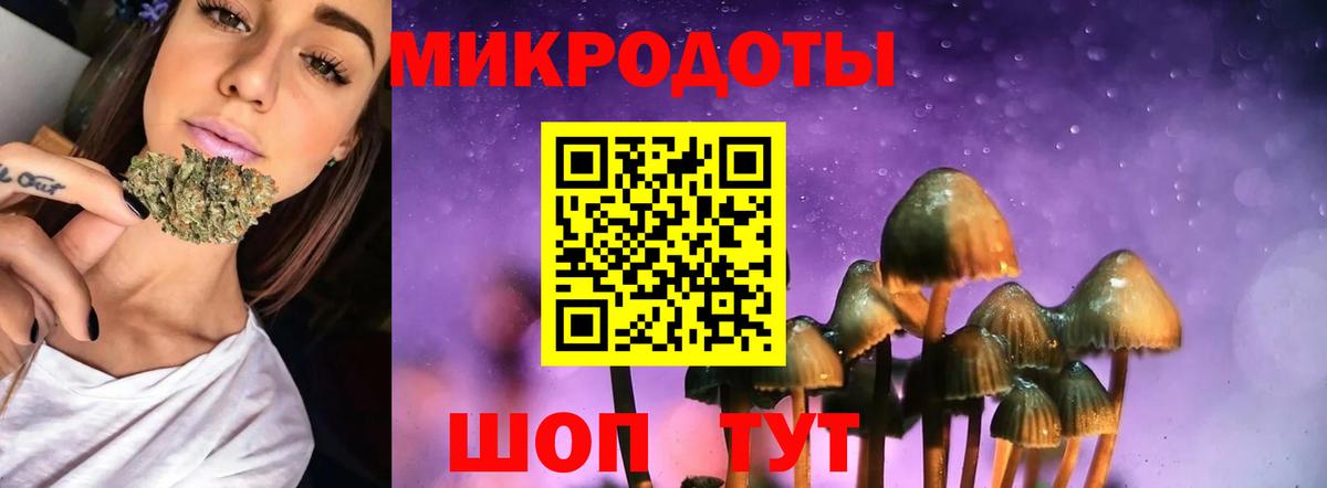 Псилоцибиновые грибы MAGIC MUSHROOMS Анжеро-Судженск